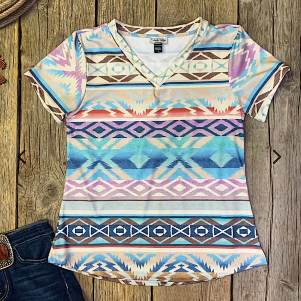 BNWT Tasha Polizzi V Neck Tee